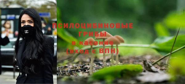 ешки Алексеевка