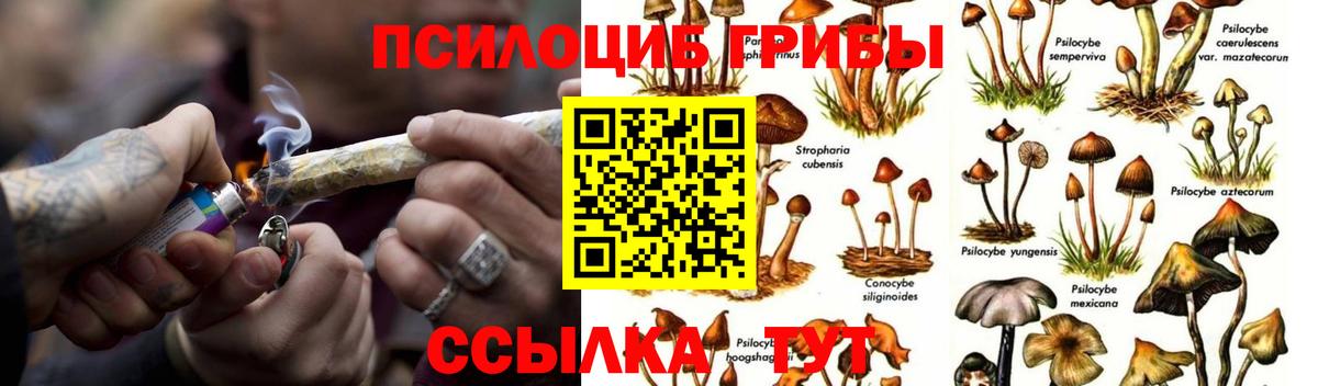 Конаково  Галлюциногенные грибы мицелий  Вход с VPN 
